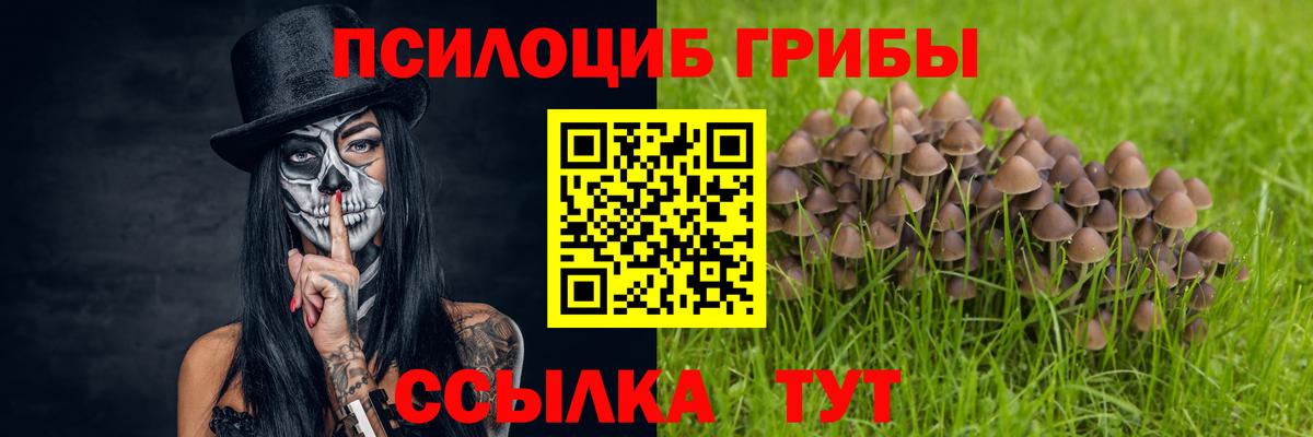 Галлюциногенные грибы мицелий Пугачёв