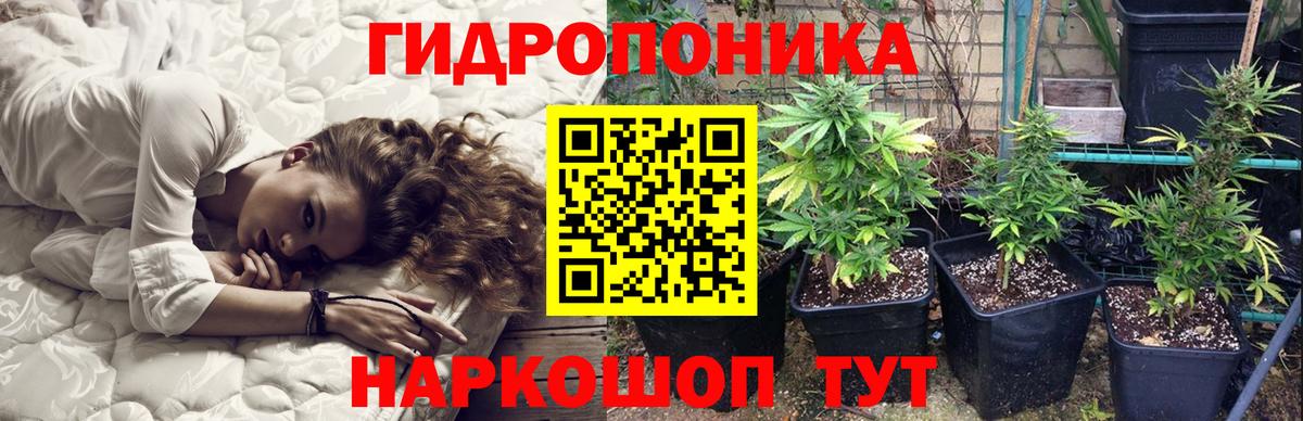 Каннабис AK-47 Пугачёв